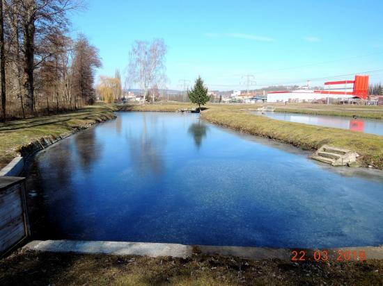 00_Oslavany_ryby.JPG - Oslavany
