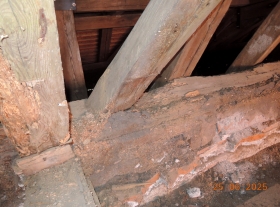  - Míra degradace dřevěných prvků krovu