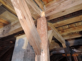  - Stopy po dřevokazném hmyzu